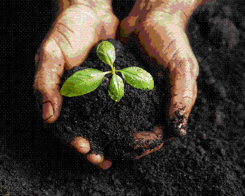 Helping Hands - Hands holding soil with seedling