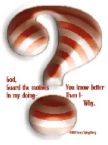 Why - This is the question we always love to ask in order to get answer. But this question actually gives us wrong answers or answers that our mind cannot accept. Thus, we must change how we deal with asking why. Read my article to find out why.