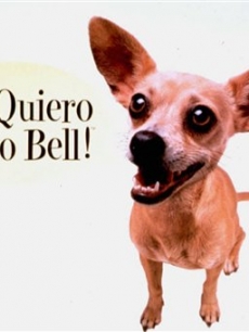 the taco bell dog poster - Here is the Poster of the Taco Bell Dog