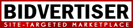 Earn money from yor blog - Add bidvertiser Ads to your site or blog and earn money