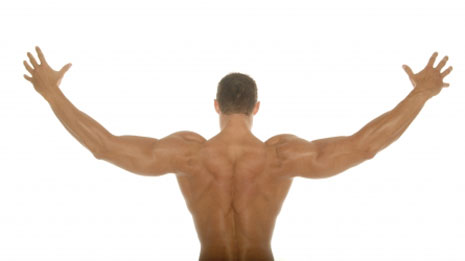 Muscle Man - A muscle man