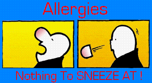 Allergies nothing to sneeze at - Allergies nothing to sneeze at for my discussion only