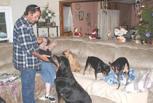 Donnie eating cookies - He may think that he will get them all...but he won't...lol