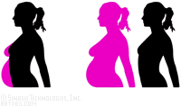 Pregnancy - Pregnant woman