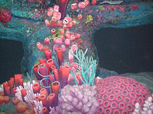 Finding Nemo - Inside the finding Nemo attraction at Epcot