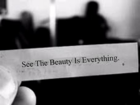 See the Beauty - See the Beauty in Everything!