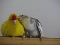 the best friends - my friend