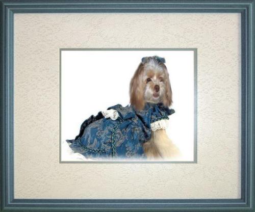 my little girl  - she is a sweet girl but does not like men all that well
