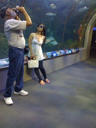 inside the Aquarium - Girl is inside the Aquarium