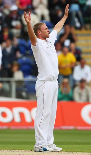 flintoff - Andrew Flintoff celebrating a wicket