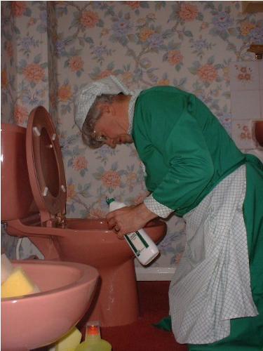 Housemaid  - Cleaning Mistress Alexis toilet. She is very particular about hygene