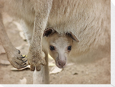 mother's love  - if some one say what is mother's love, it can only be said -' ETERNAL'.