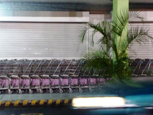 wreckgar - Carts on the parking lot.