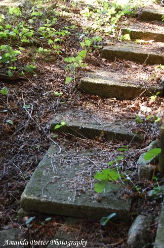 Step by Step - This photo was taken my daughter. I think it is symbolic of what we go through as students. Step by Step, we will achieve our goals.