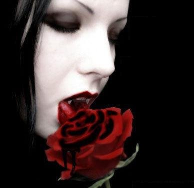 vampire's sweet kiss - nothing