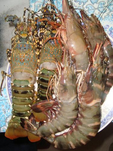 Lobsters et al. - fresh and cheap... life's great food wonders in far corners