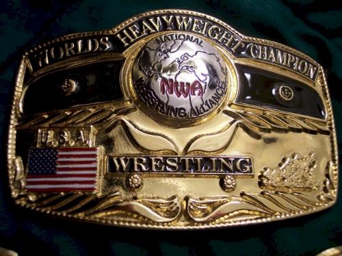 Old TNA World Heavyweight Championship - This is the old belt they used, when they were NWA-TNA.