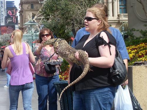 Lizard in LV - Lizard held by lady (crazy)