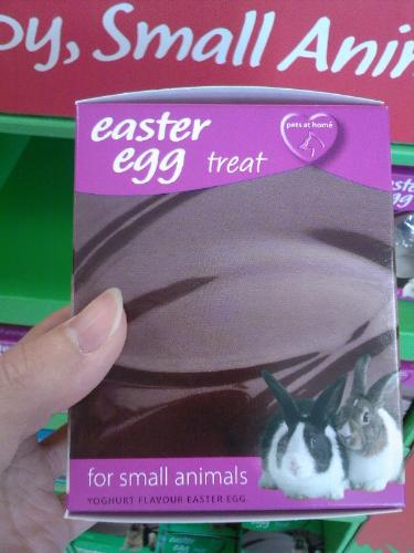 Easter egg for rabbits - Do rabbits celebrate Easter?