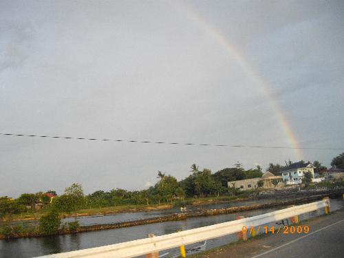 Rainbow - rainbow