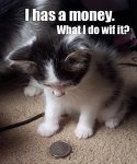 curiosity kills the cat? - Found this photo quite interesting. Curiosity about money kills the cat?[:
