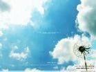 A sunny day  - A good sunny day