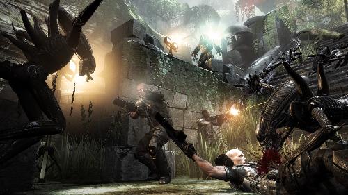 Aliens vs Predators(the gmae) 2010 - here is a screen shot of the Aliens vs Predators game which is due to be released in early 2010.