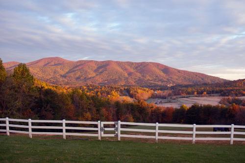 Foliage in northern New hampshire -  A good shot of the our fall foliage (though a bit past peek color), with the foot hills of the presidential range in the back ground.