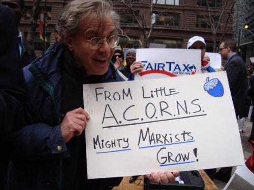 acorns - At an anti-0bama protest, signs were displayed.
