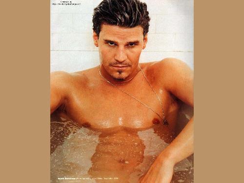 mmmmmm David - he is one of the main actors on the TV show Bones