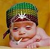 Funny picture - weed