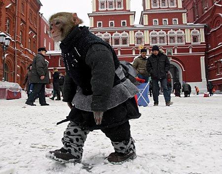 I can walk also - Look,i am also at walking!!