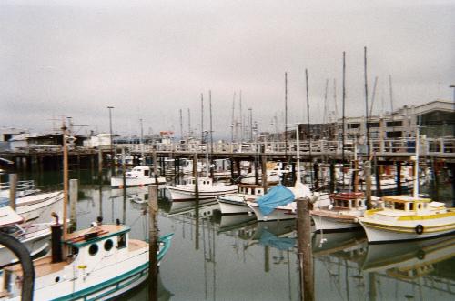 Fisherman's Wharf in San Francisco - a shot of the boats at Fisherman's Wharf in San Francisco, CA
