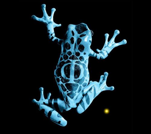frog - from the fringe. my fav series