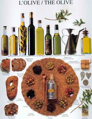 olive  - olive and olive oil