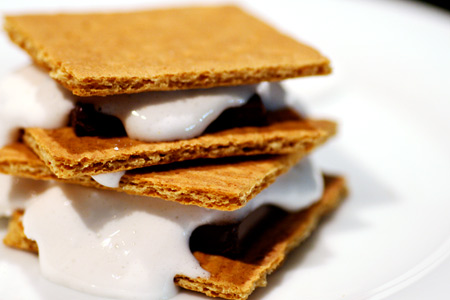 mmmm s'mores - This is a picture of a s'more. They are so great, very yummy! Very simple to make, melted marshmallow, chocolate bar and graham cracker!
