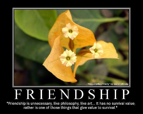 Happy Friendship Day - Wish you a happy friendship day...