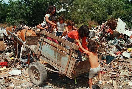 poverty, population - Are there parents doing any good to them?? poverty, population - Are there parents doing any good to them??