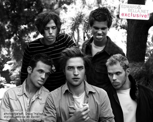 Twilight Guys - vamps and a werewolf