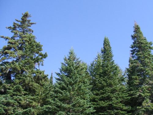 Northern Minnesota - in the woodsy areas up in northern Minnesota. This is by Lutsen, just off of Lake Superior.