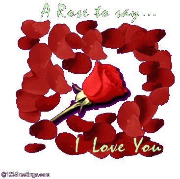 love - love rose