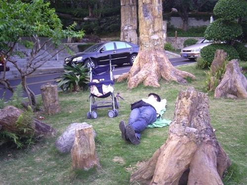 some father and his son - i got it in a plant garden.  the father and his son are soundly sleeping.