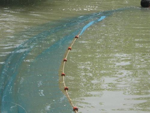 Fishing net - Fish catching
