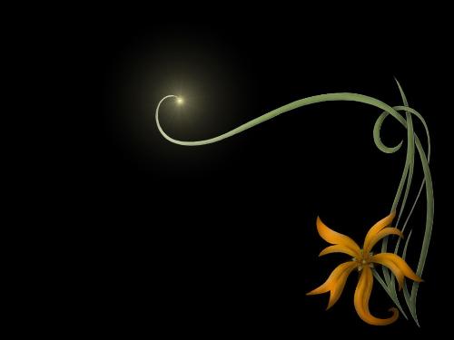 Its one of my fav - Its very simple which contains a flower with a black background. i love it bcz it gives me cool feelings.