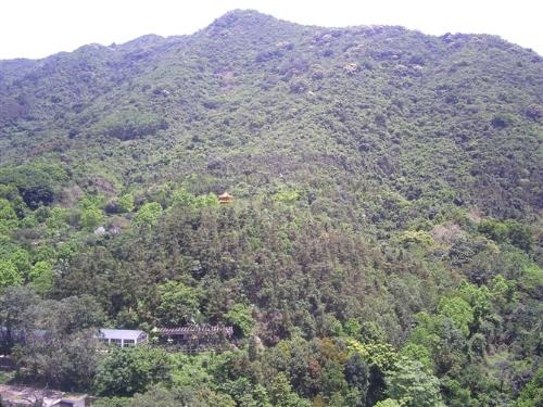 temple - temple in the hill