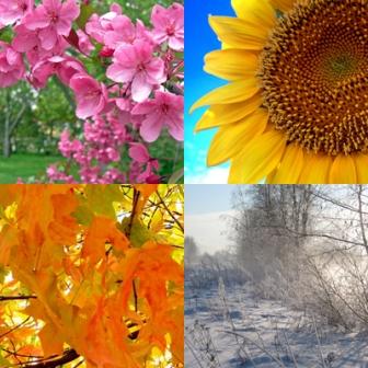 The Four Seasons - The Four Seasons - spring, summer, autumn, winter. 