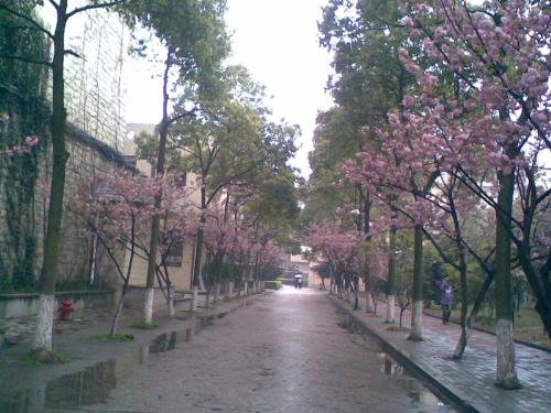 university - university-my world,my dream