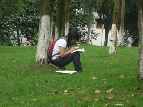 university - university-my world,my dream