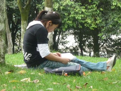 university - university-my world,my dream