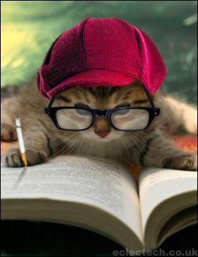 The smartest cat - A very smart cat. Studying very hard.